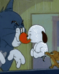 pic for Tom and Jerry
